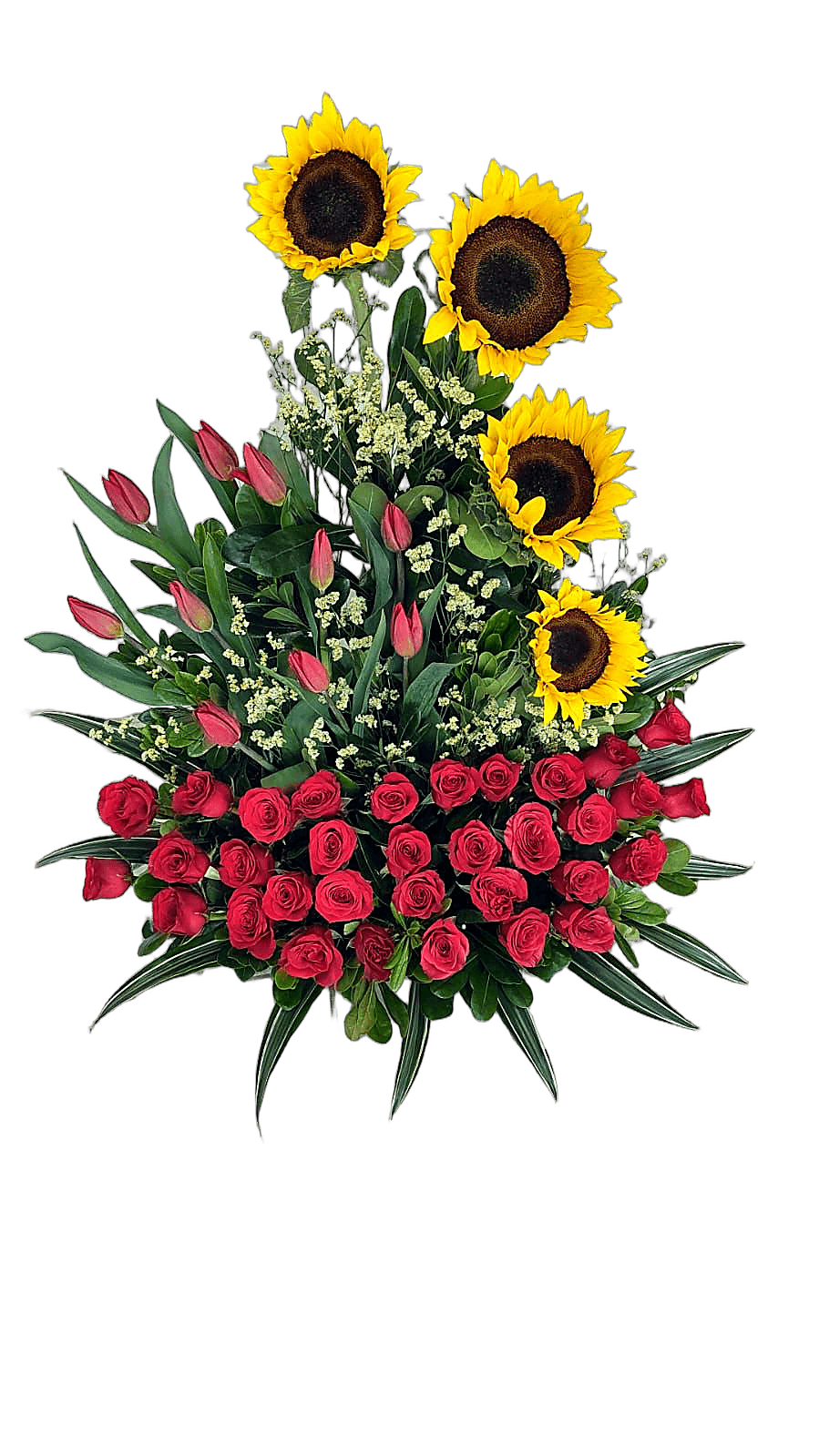 Arreglo girasoles + tulipanes + 36 rosas